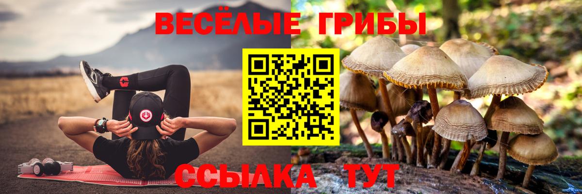 Усть-Илимск  Галлюциногенные грибы Psilocybine cubensis  Вход с VPN  Псилоцибиновые грибы мицелий 